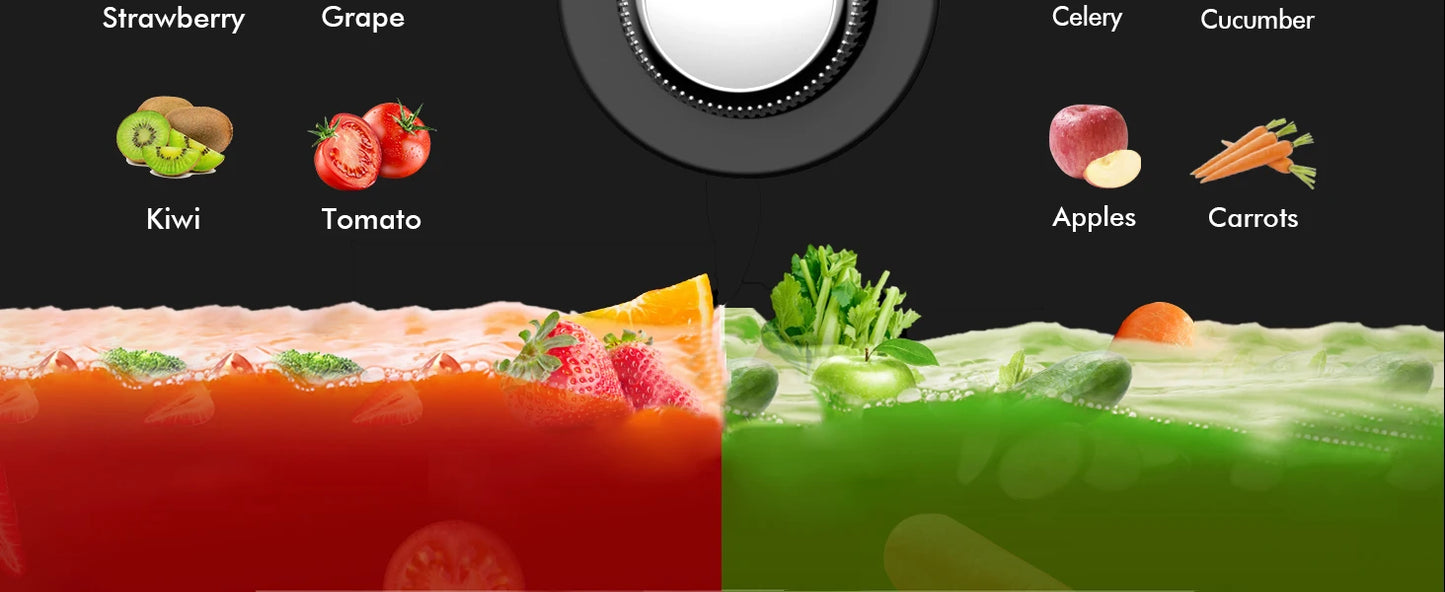 SiFENE Slow Masticating Juicer