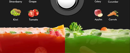 SiFENE Slow Masticating Juicer