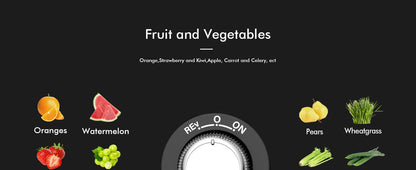 SiFENE Slow Masticating Juicer