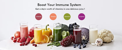 SiFENE Slow Masticating Juicer